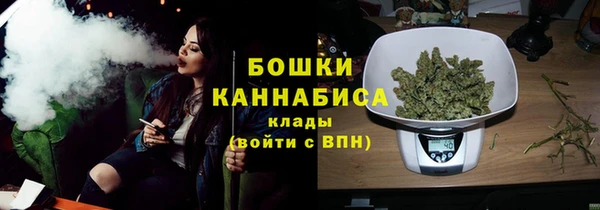 ECSTASY Вяземский