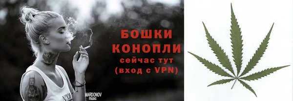 ECSTASY Вяземский