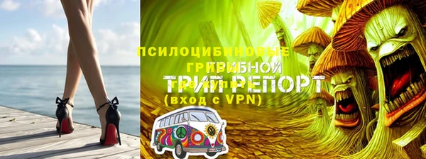 ECSTASY Вяземский