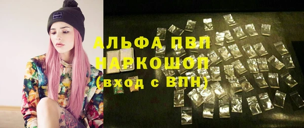 ECSTASY Вяземский