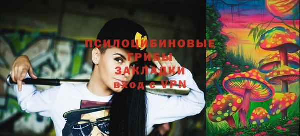 ECSTASY Вяземский