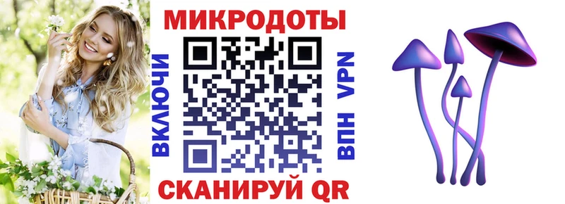 Псилоцибиновые грибы мухоморы где найти Яранск